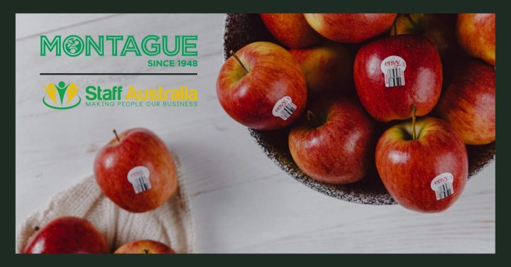 Bowl of envy apples on a white benchtop labelled with the envy apple sticker